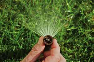 sprinkler head | farwest landscape