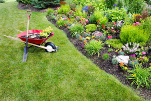 landscape maintenance | personal gardener | farwest landscaping boise