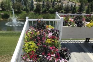 flowers |FarWest Landscaping |Personal Gardener